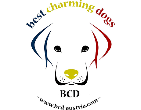 BCD Austria